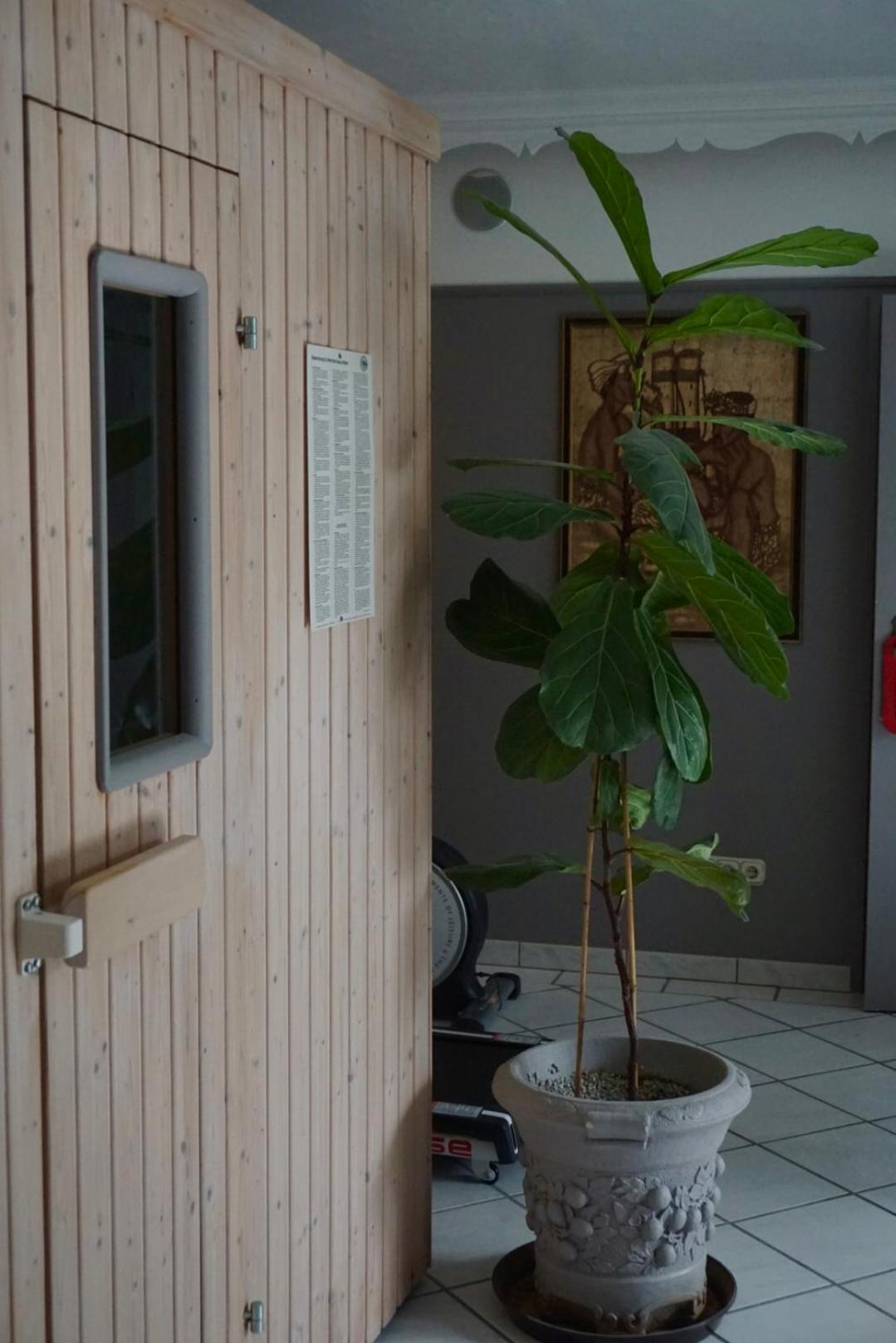Hotel Wildrose Neukirchen am Großvenediger Εξωτερικό φωτογραφία